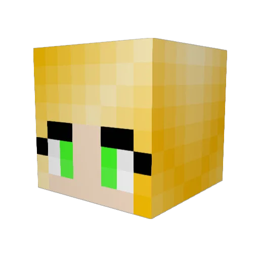 makayla9 Minecraft avatar head, 3D render