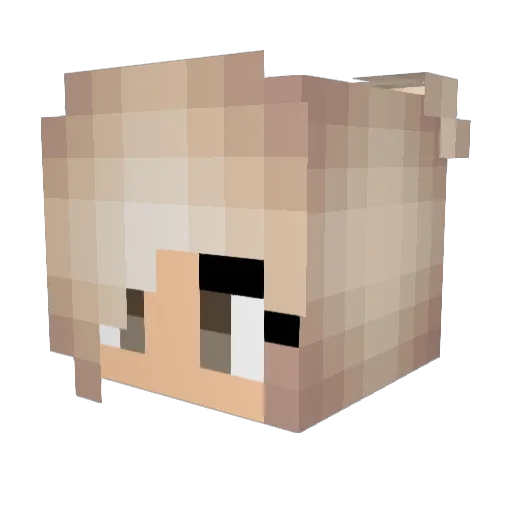 makenauwu Minecraft avatar head, 3D render