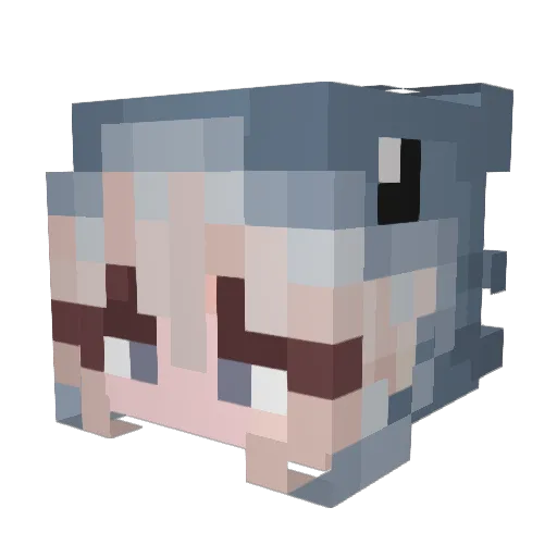 makochark Minecraft avatar head, 3D render