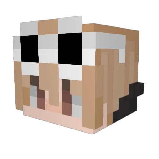 makotodayo Minecraft avatar head, 3D render