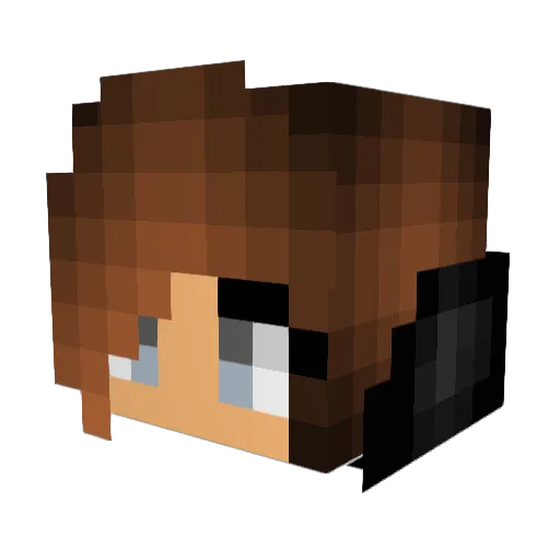 maksunshine12 Minecraft avatar head, 3D render