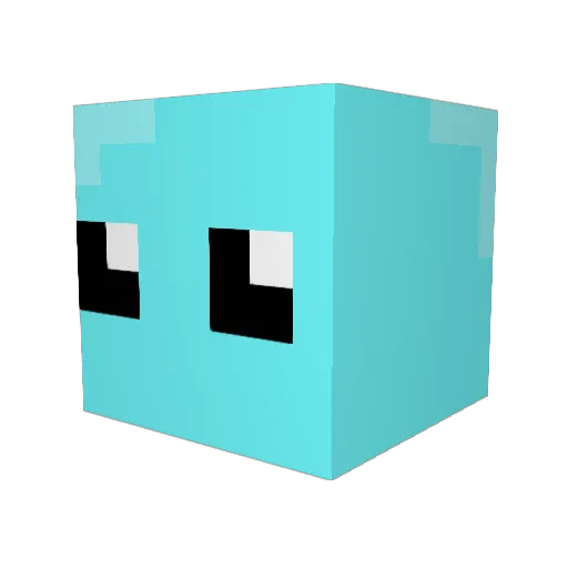 malabar999 Minecraft avatar head, 3D render