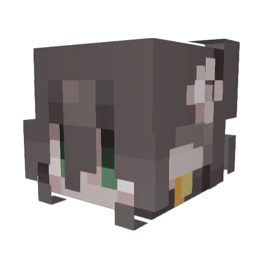maleynotluckyy Minecraft avatar head, 3D render
