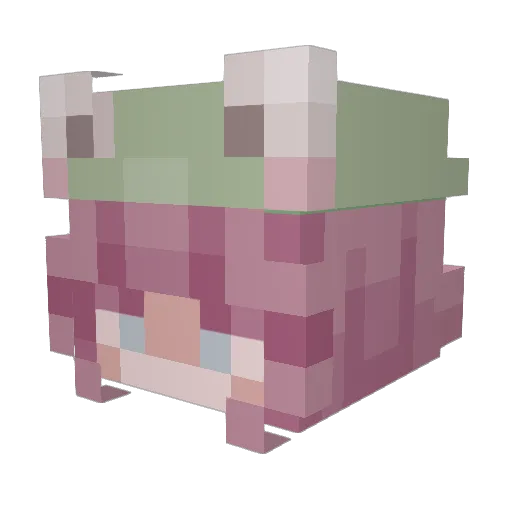 maliboo21 Minecraft avatar head, 3D render