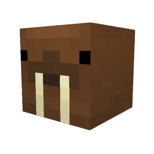 maliciouswalrus Minecraft avatar head, 3D render