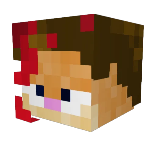 malisalsa Minecraft avatar head, 3D render