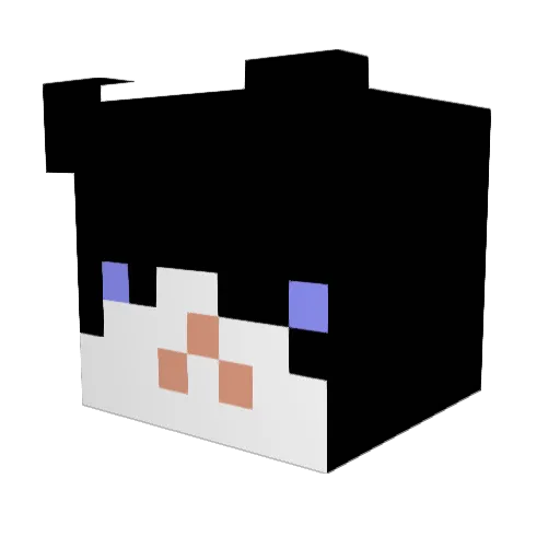 malloo4025 Minecraft avatar head, 3D render