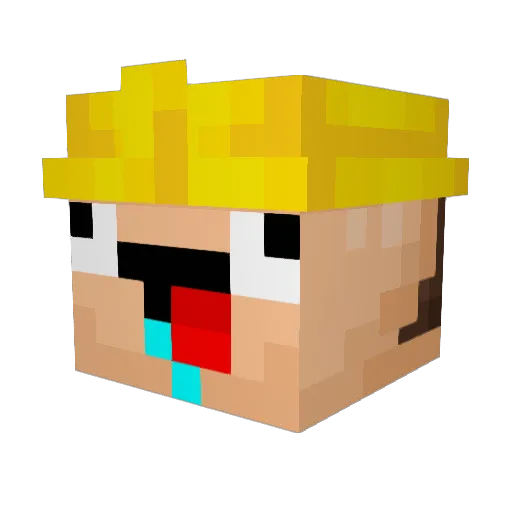 malloot Minecraft avatar head, 3D render