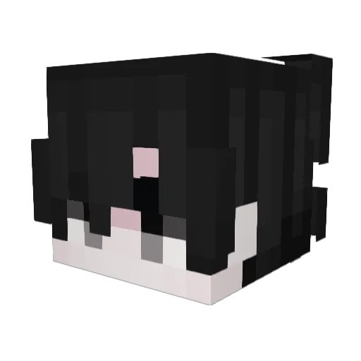 malty_till Minecraft avatar head, 3D render