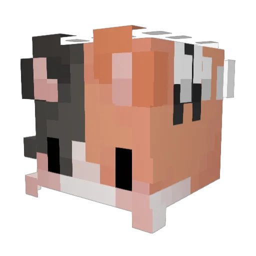 malwinal Minecraft avatar head, 3D render