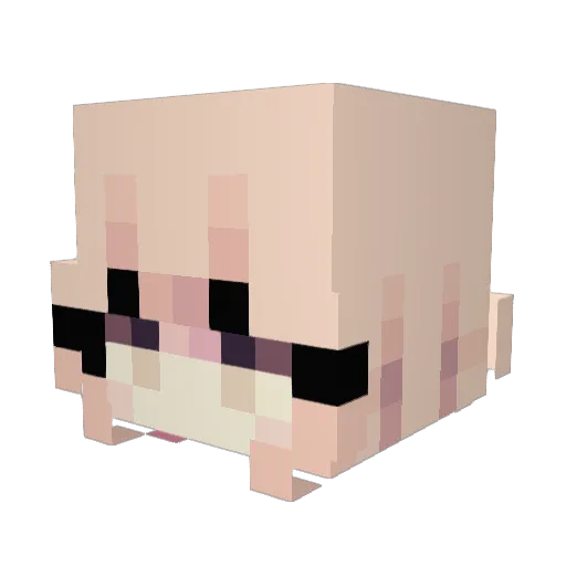 malzyp Minecraft avatar head, 3D render