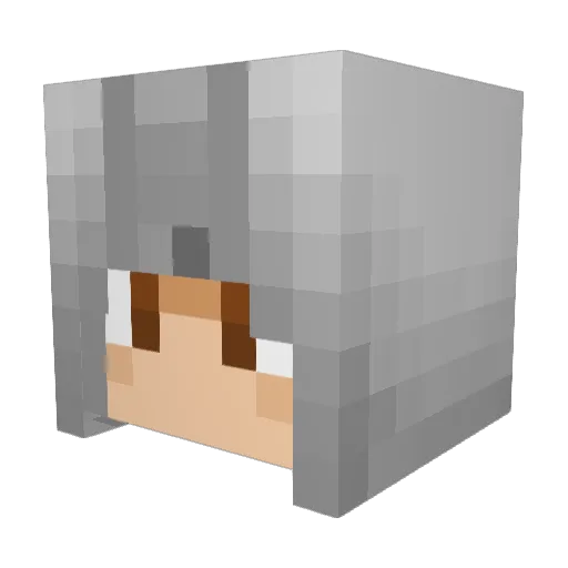 manatee321 Minecraft avatar head, 3D render