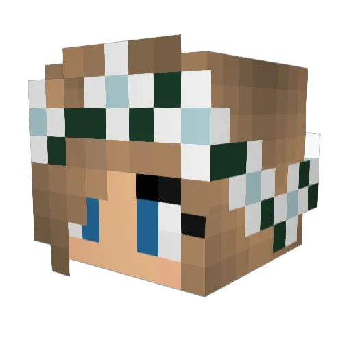 manatee424 Minecraft avatar head, 3D render