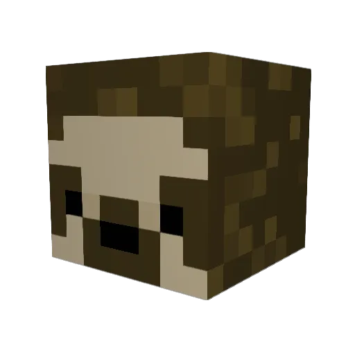 manateenuggets Minecraft avatar head, 3D render