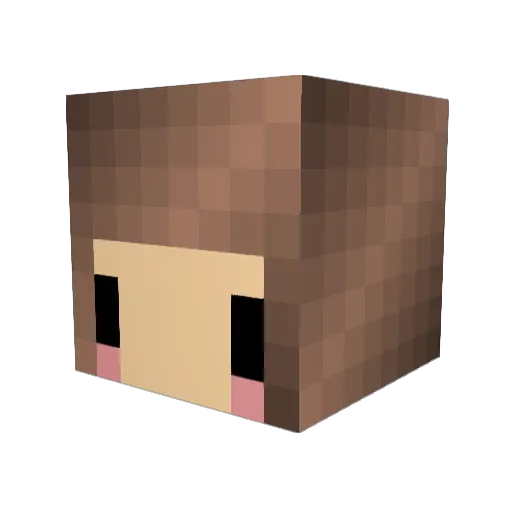 manbearpig876 Minecraft avatar head, 3D render