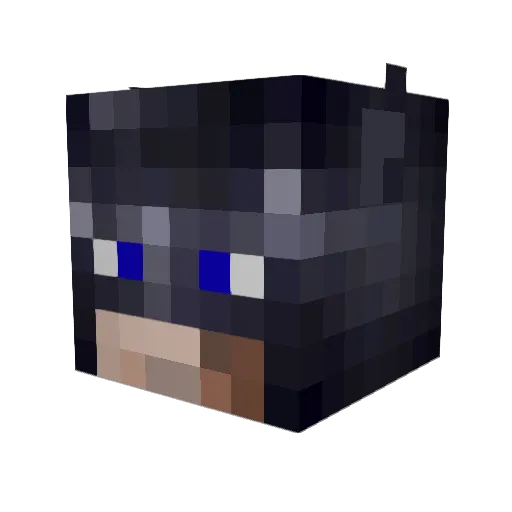 mandapanda0000 Minecraft avatar head, 3D render