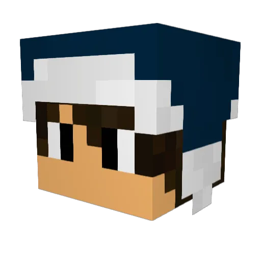 mander911 Minecraft avatar head, 3D render