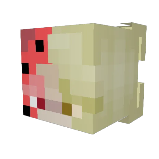mandymayhem1221 Minecraft avatar head, 3D render