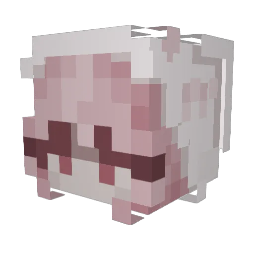 manecarnis Minecraft avatar head, 3D render