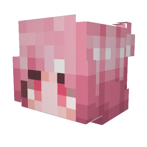manfr593 Minecraft avatar head, 3D render