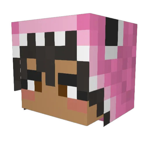 mangobooboo Minecraft avatar head, 3D render