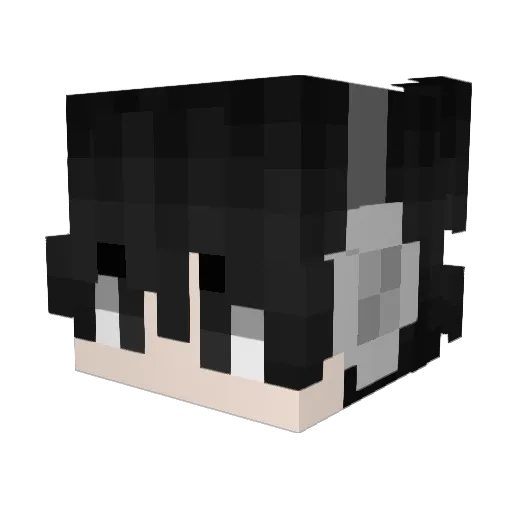 mangocatdog Minecraft avatar head, 3D render