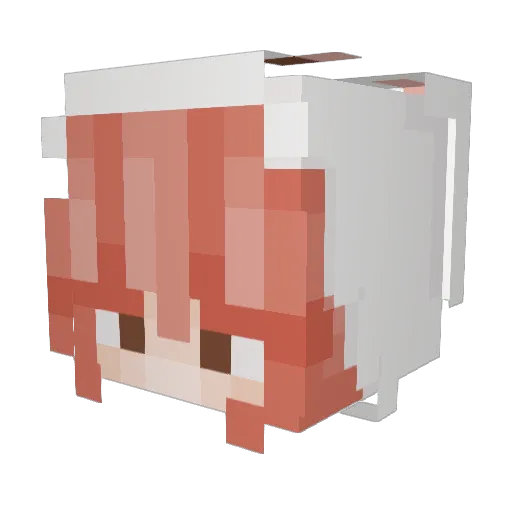 mangojuice26 Minecraft avatar head, 3D render