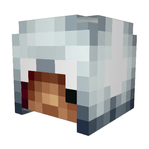 mangoman3 Minecraft avatar head, 3D render
