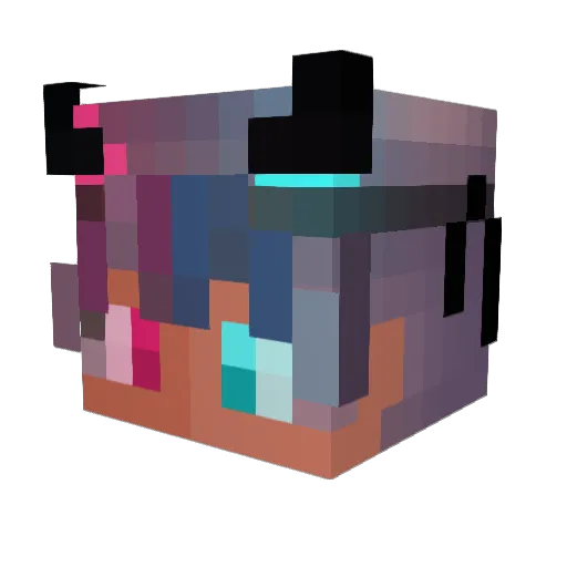 mangomango4213 Minecraft avatar head, 3D render