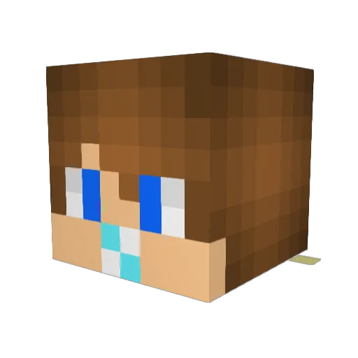 mangonerd Minecraft avatar head, 3D render