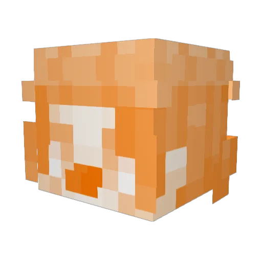 mangotheclown Minecraft avatar head, 3D render