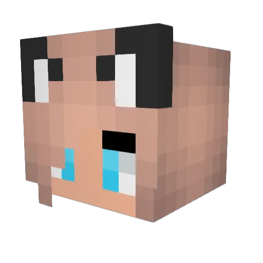 maniking0 Minecraft avatar head, 3D render