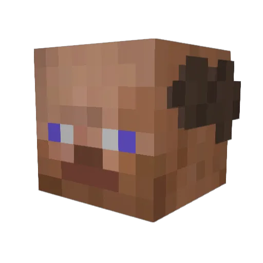 mankoooooooooo Minecraft avatar head, 3D render