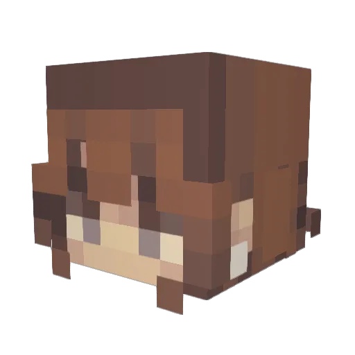 manna2002 Minecraft avatar head, 3D render