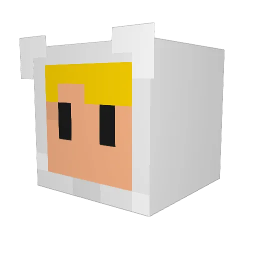 mannida Minecraft avatar head, 3D render