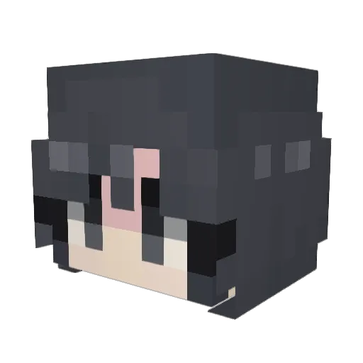 mansus30 Minecraft avatar head, 3D render