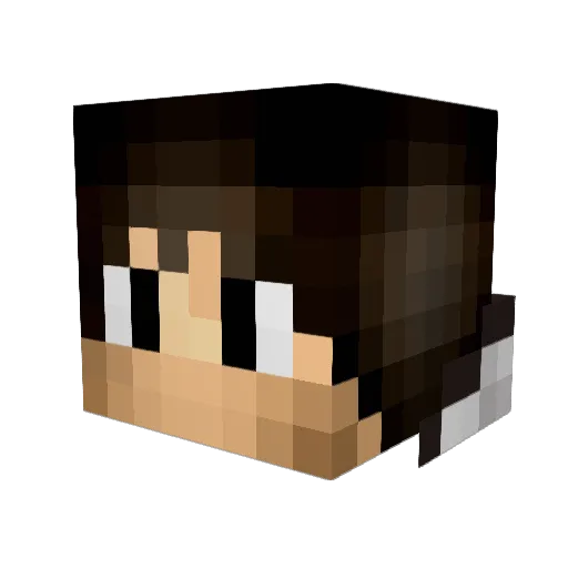 manveru210 Minecraft avatar head, 3D render