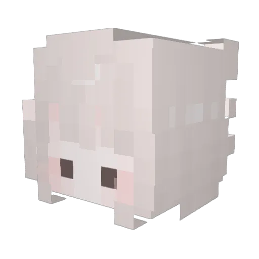 mao_mao0526 Minecraft avatar head, 3D render