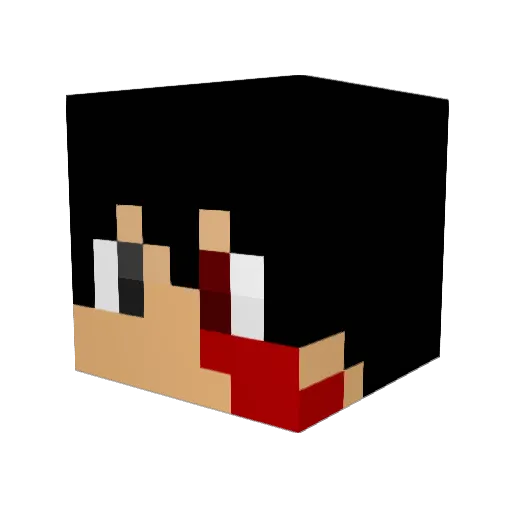 maoki0213 Minecraft avatar head, 3D render