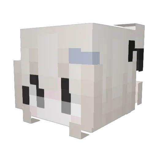maomaoDSB Minecraft avatar head, 3D render