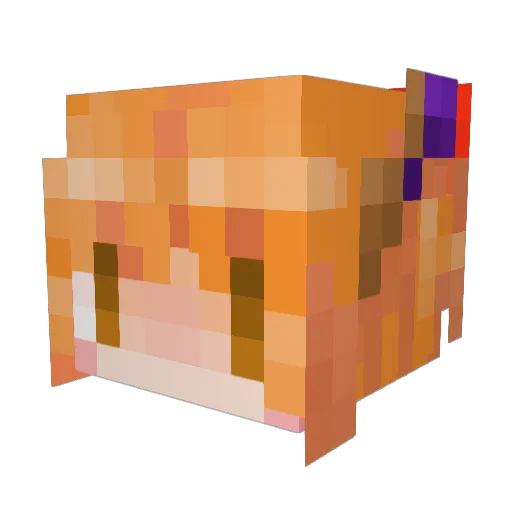 maosin1976 Minecraft avatar head, 3D render