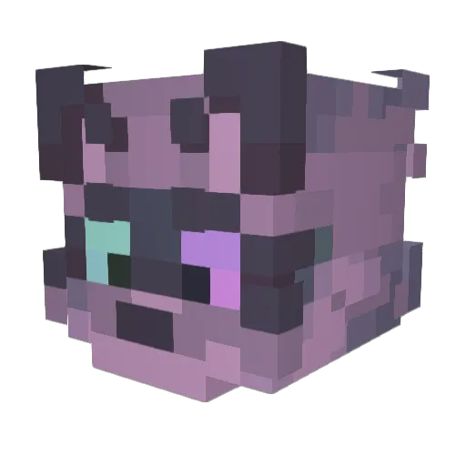 mapachewillow Minecraft avatar head, 3D render