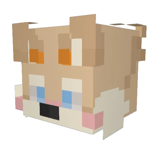 mapceJlJlka Minecraft avatar head, 3D render
