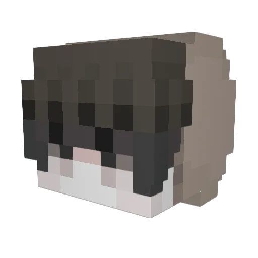 mapleleaves8778 Minecraft avatar head, 3D render