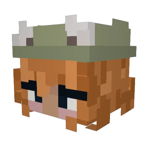 mapletealeaf Minecraft avatar head, 3D render