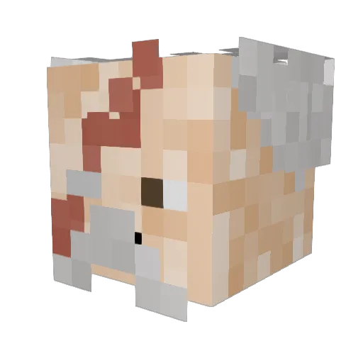 marc12367 Minecraft avatar head, 3D render