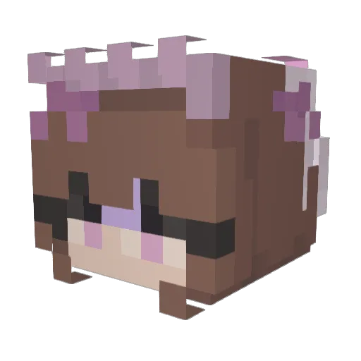 marcelis Minecraft avatar head, 3D render