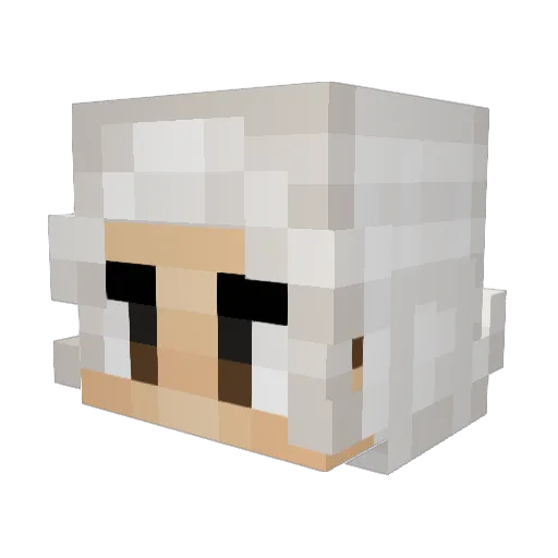 marcoppy Minecraft avatar head, 3D render