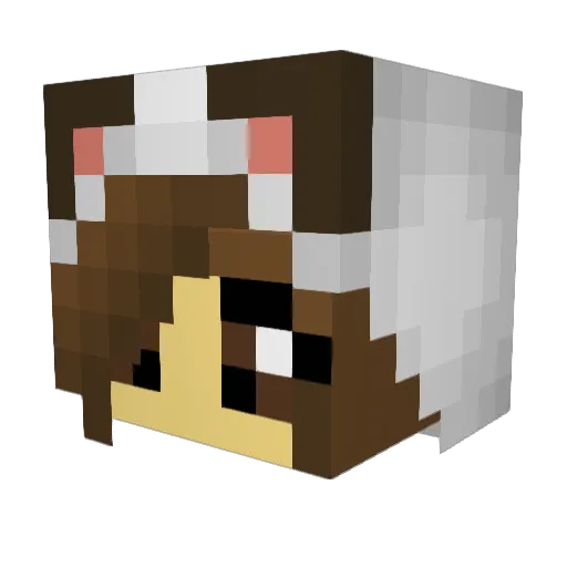 mardoch2 Minecraft avatar head, 3D render