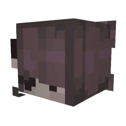marebear23x Minecraft avatar head, 3D render